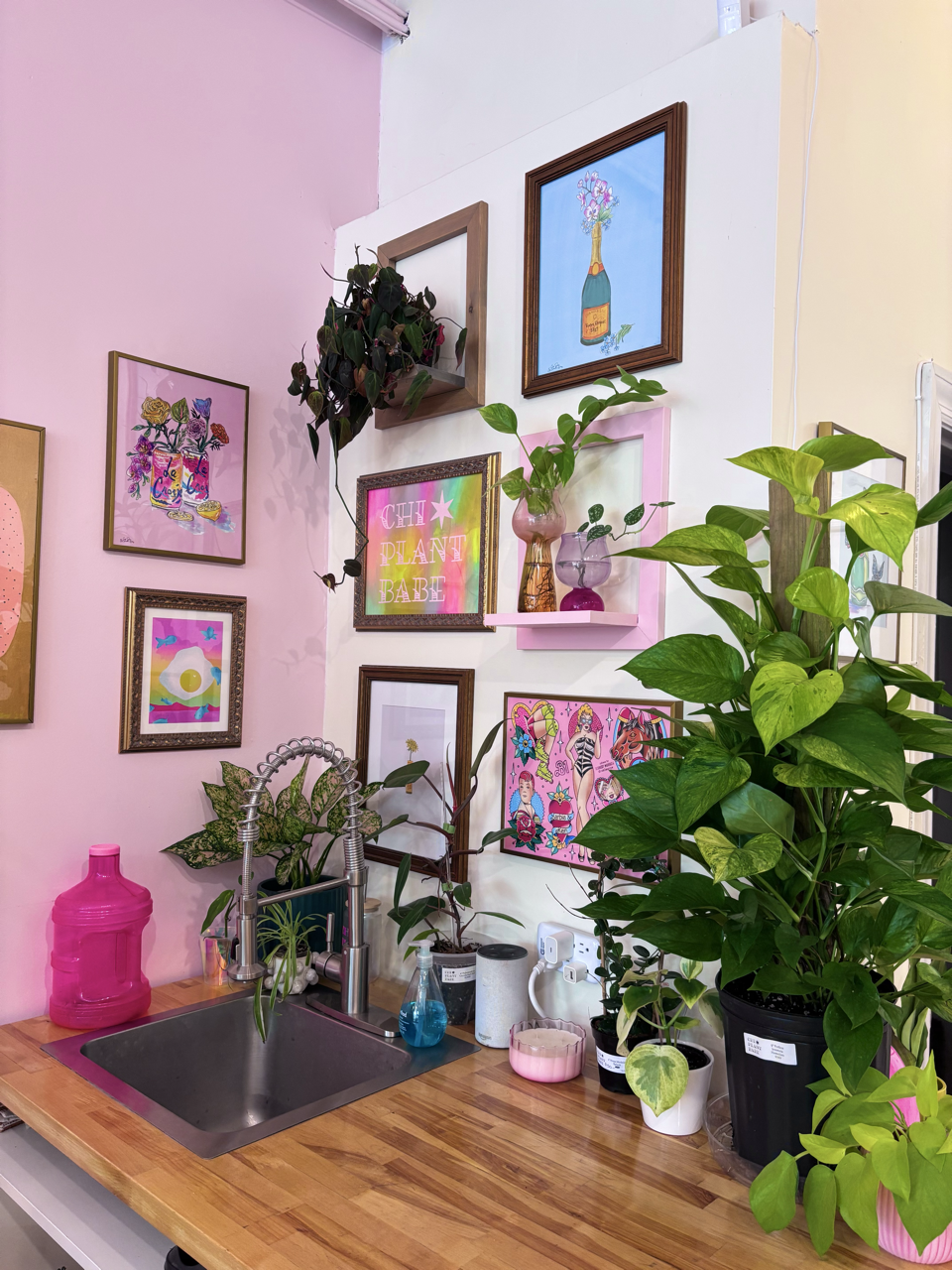 parlor palm for sale Parlor Palm | Indoor Plant | Tropical Plant | Chamaedorea elegans | Potted  Plant